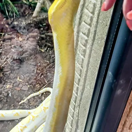 Les Charmettes - Siblu *