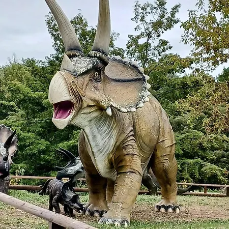 Camping Les Charmettes - Siblu