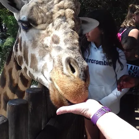 Camping Les Charmettes - Siblu Les Mathes