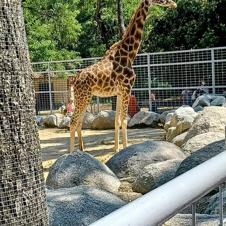 Les Charmettes - Siblu Les Mathes