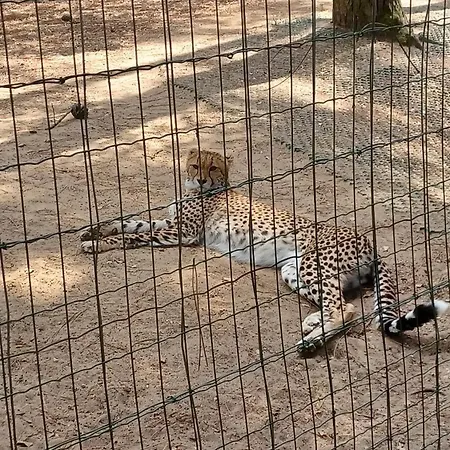 Les Charmettes - Siblu Les Mathes