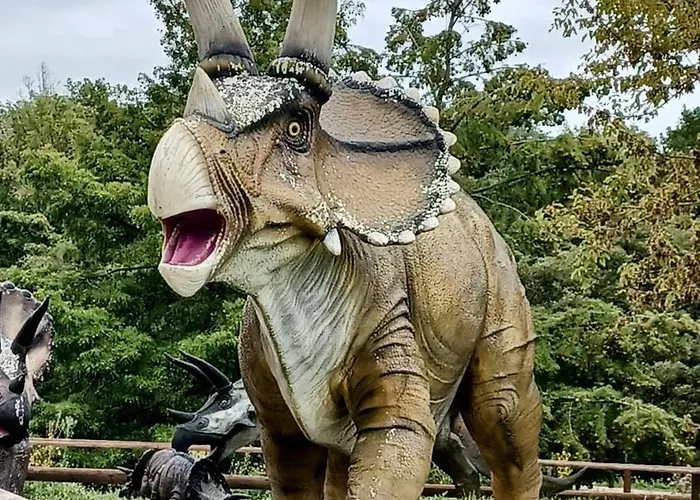 אתר קמפינג Les Charmettes - Siblu