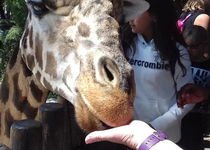 אתר קמפינג Les Charmettes - Siblu לס מתה