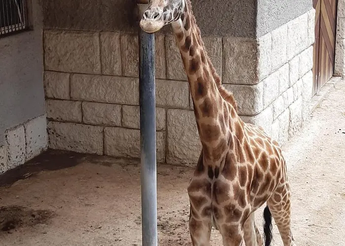 Les Charmettes - Siblu אתר קמפינג לס מתה