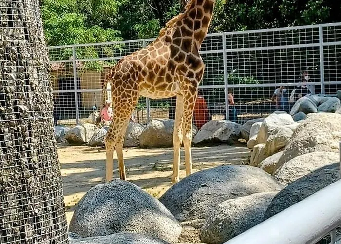 Les Charmettes - Siblu לס מתה