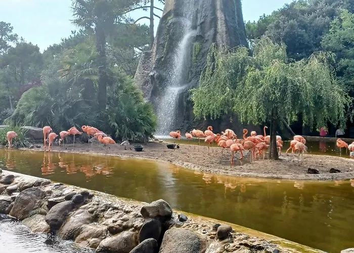 Les Charmettes - Siblu