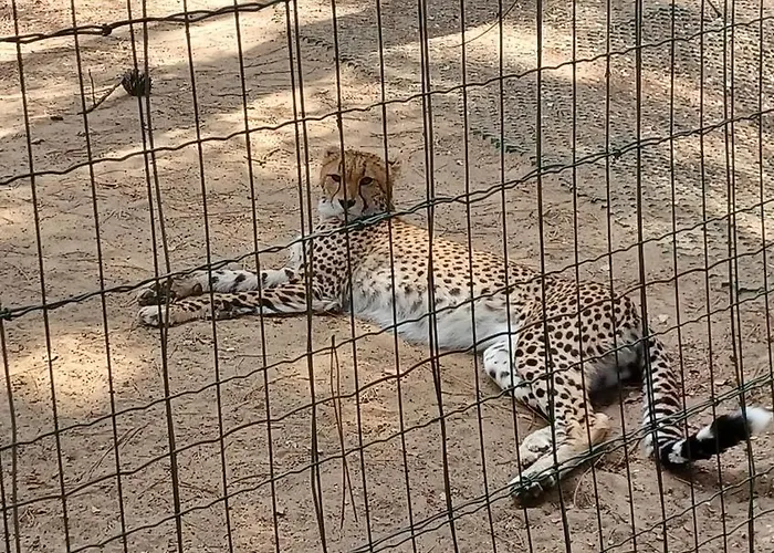 Les Charmettes - Siblu לס מתה
